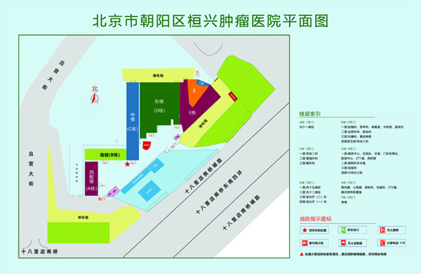 站着操逼视频北京市朝阳区桓兴肿瘤医院平面图